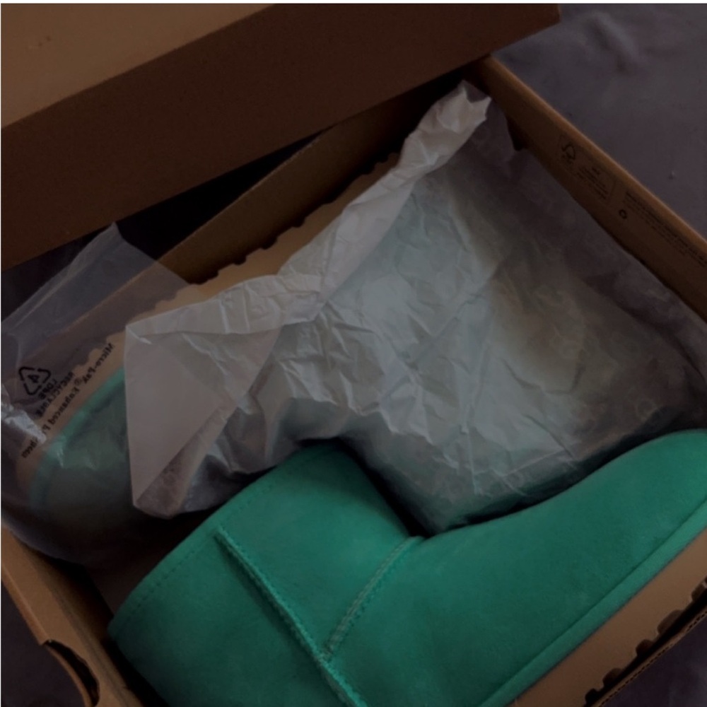 UGG Teal Ankle Boots